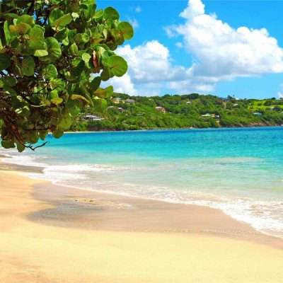 江南APP下载手机版