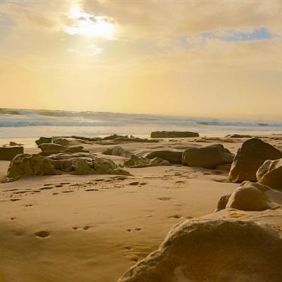 246天天好彩app下载